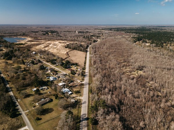 Comment cultiver des plantes succulentes lithops rares ?
